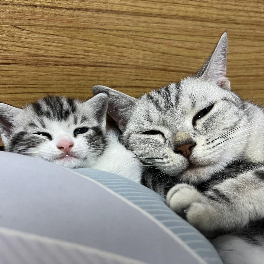 小十三ˆ😊ˆ
