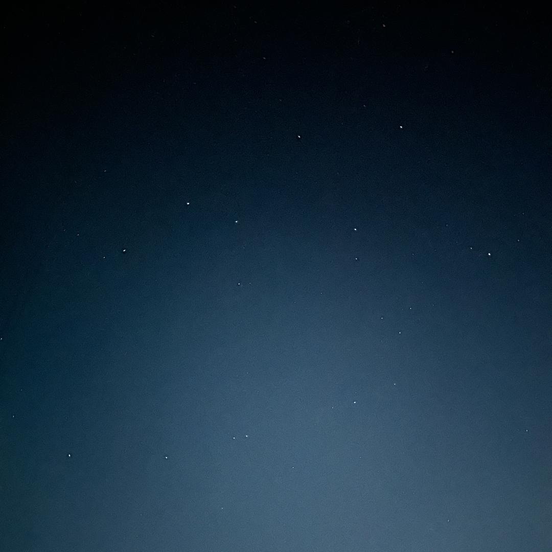 麒麟。