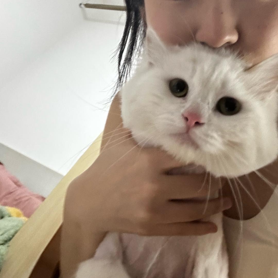 西瓜烤土豆