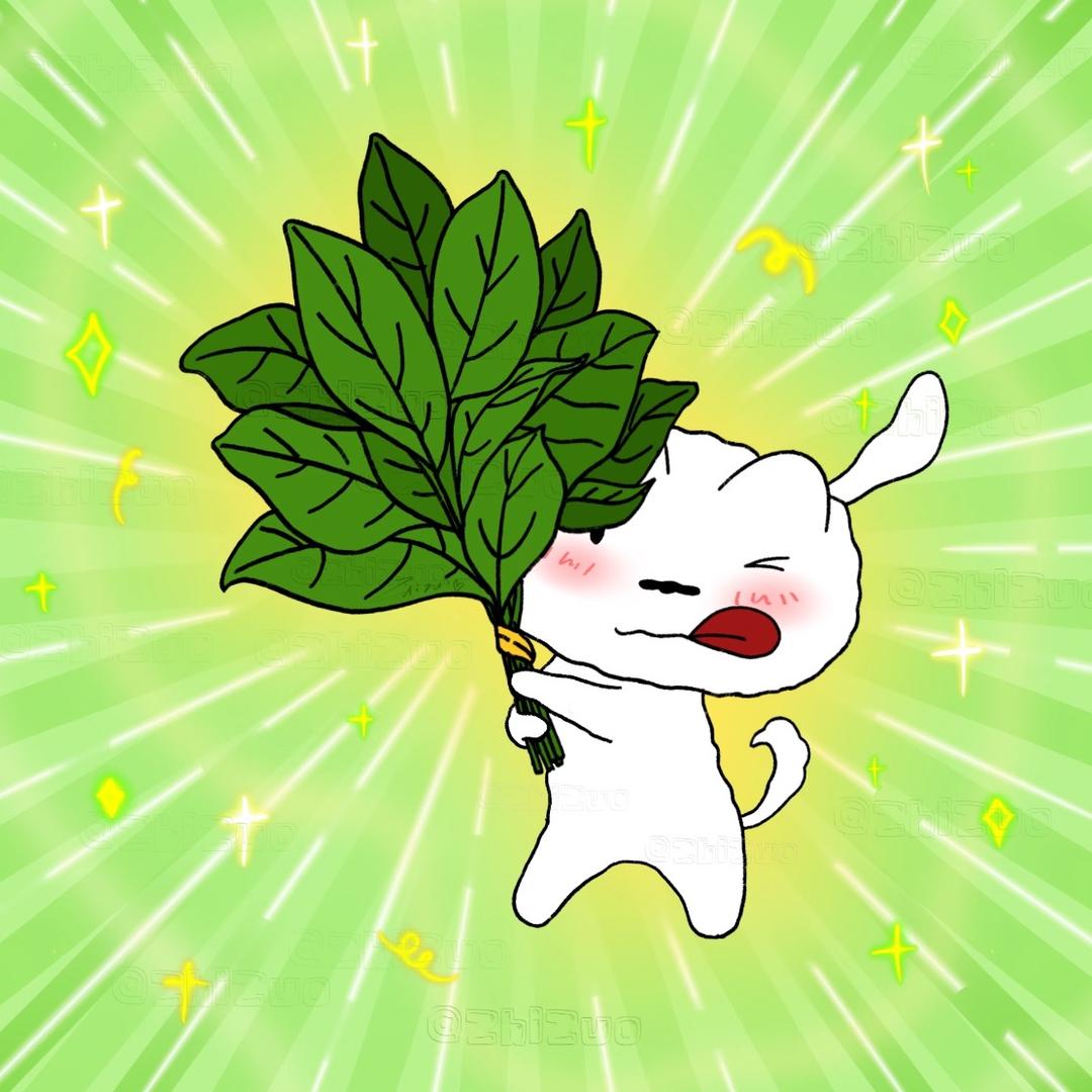 小菠菜🥬