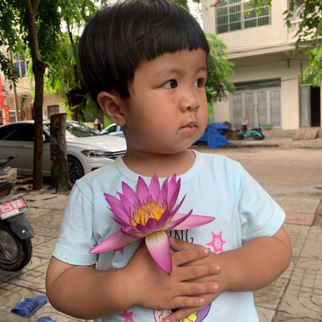 不乖《豪》