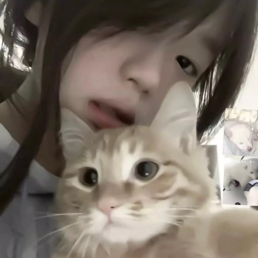 ʚ呆呆ɞ