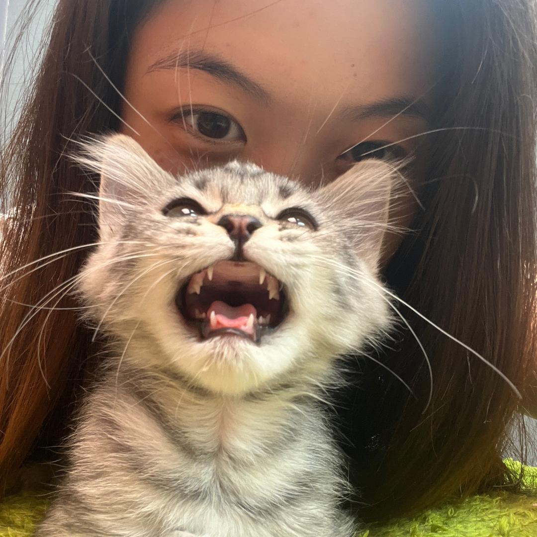 乐米的养膘日记