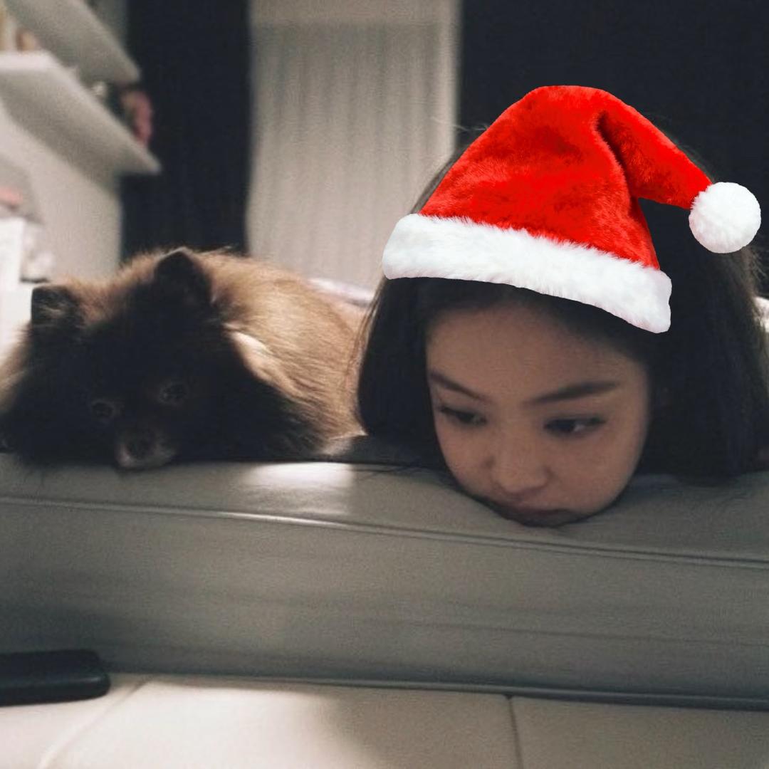 蔓越莓饼干💤