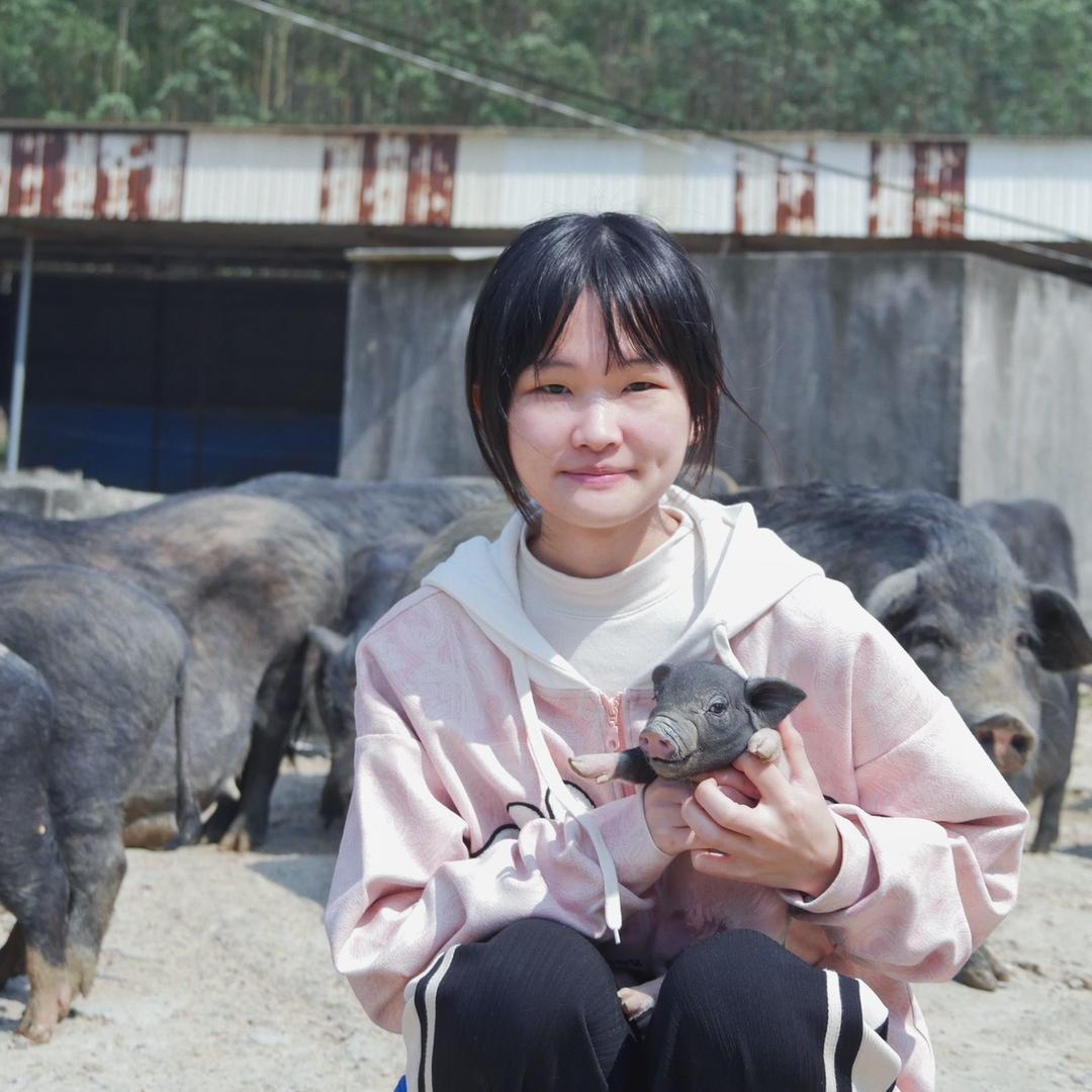 图美香·南靖跑跑猪