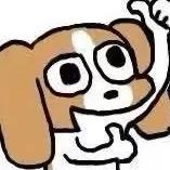 不喜欢水的咸鱼