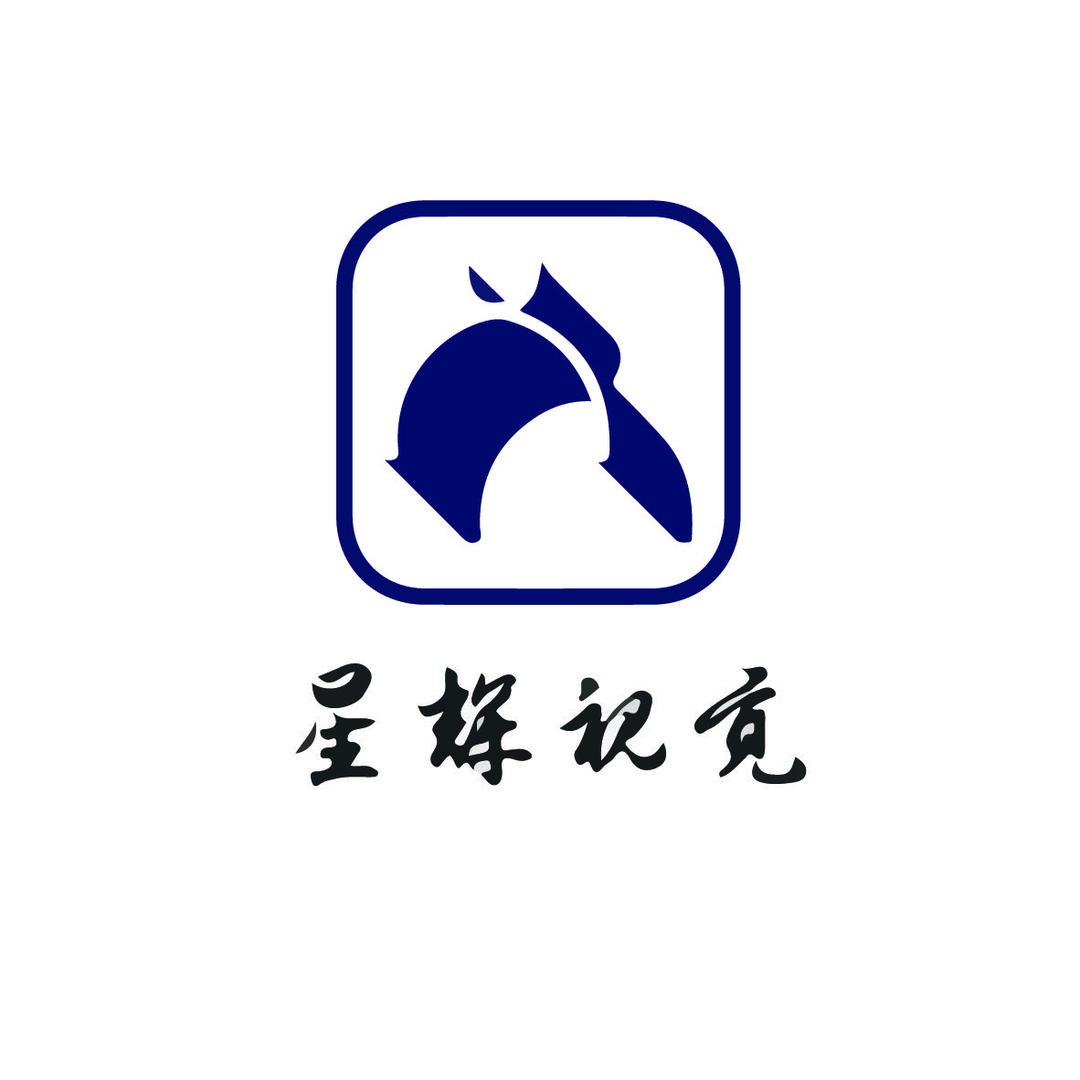 星辉视觉