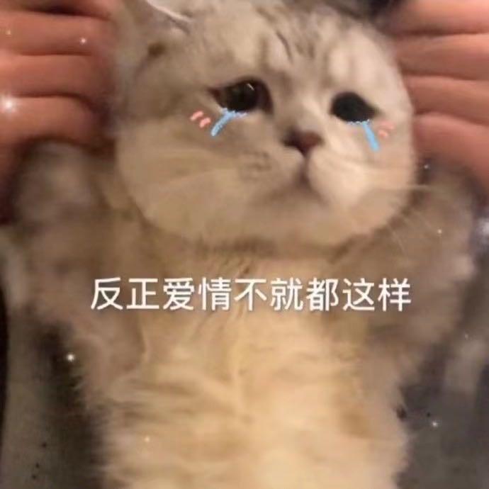 莫莫妮法