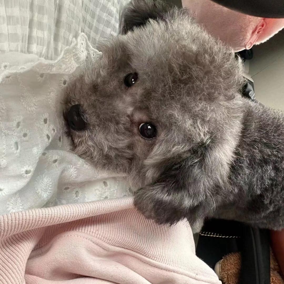 蛋蛋时光机。