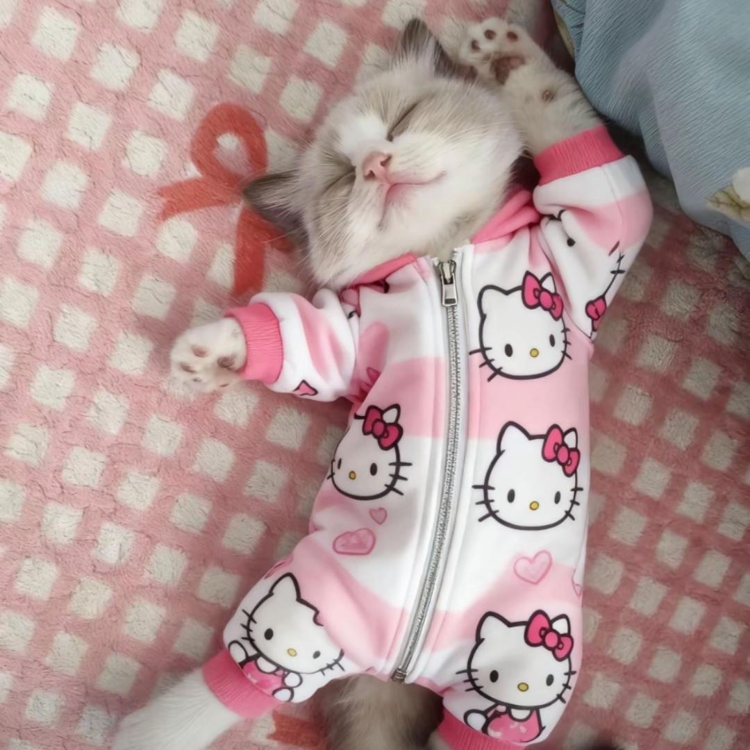 忧郁小地瓜
