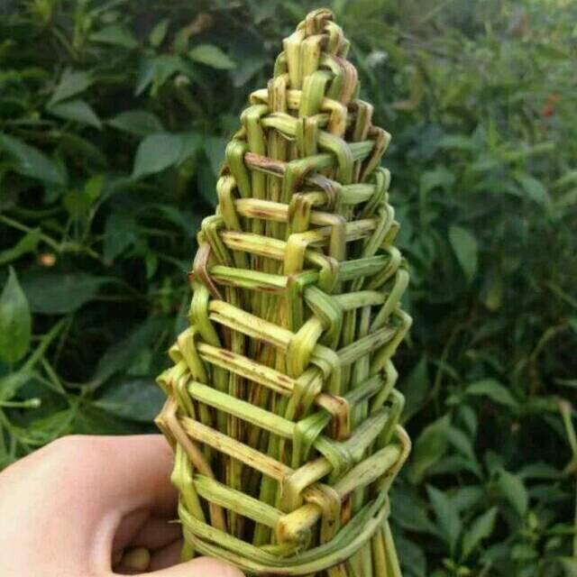 时 光
