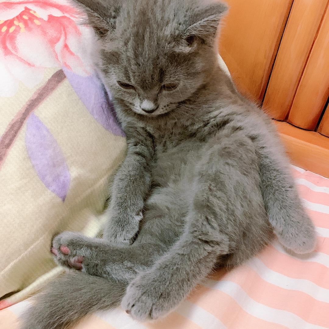 🎀☁️日落☁🎀