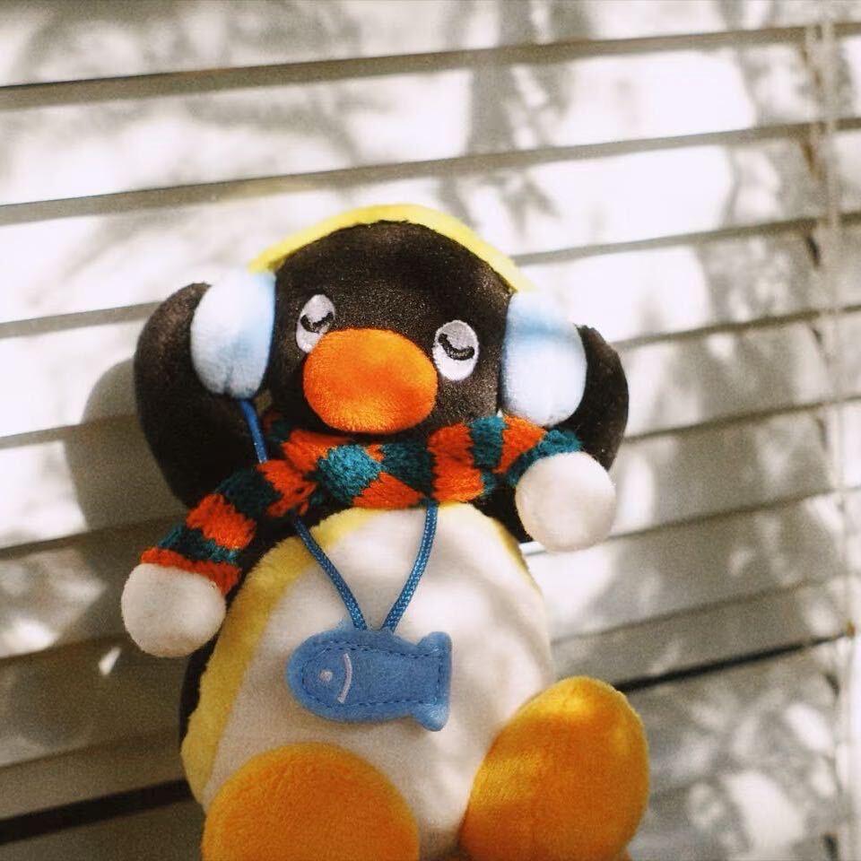 星引力
