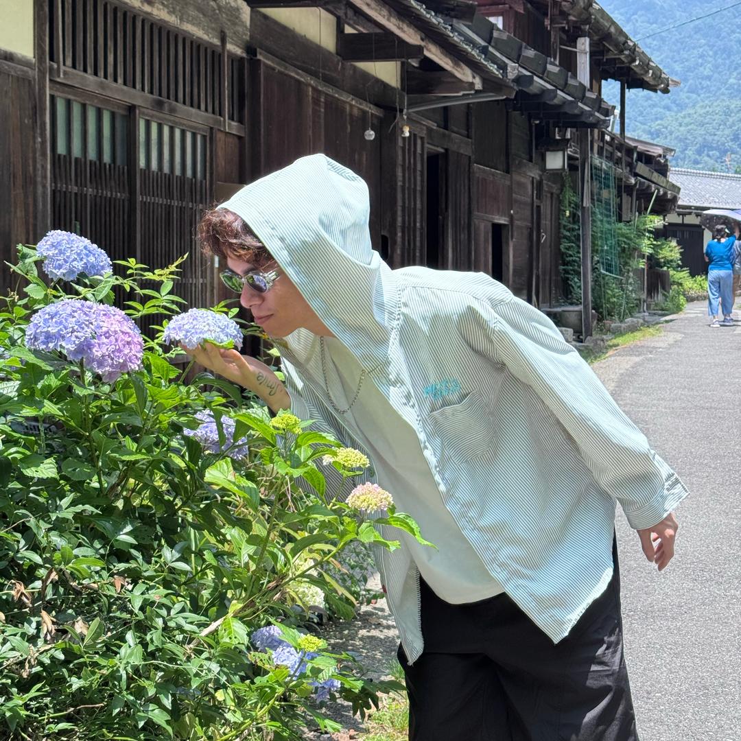 大淇的淇