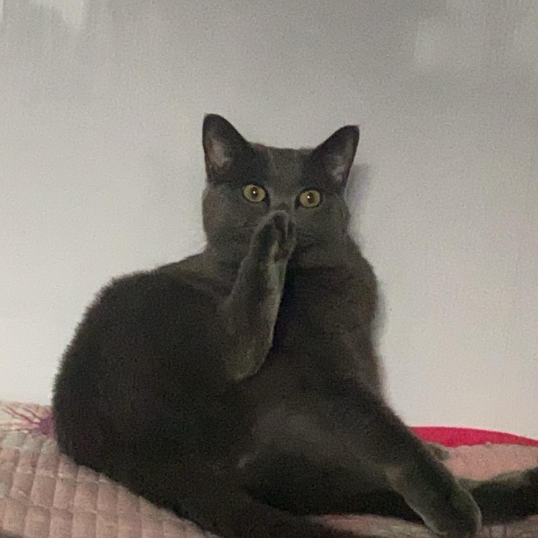 我最爱五月啦