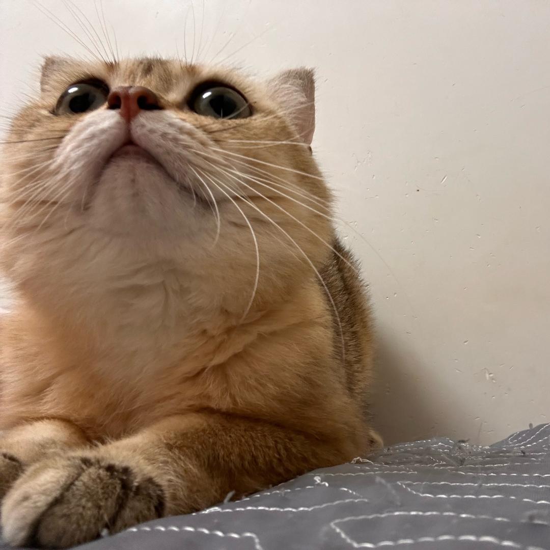 怪物