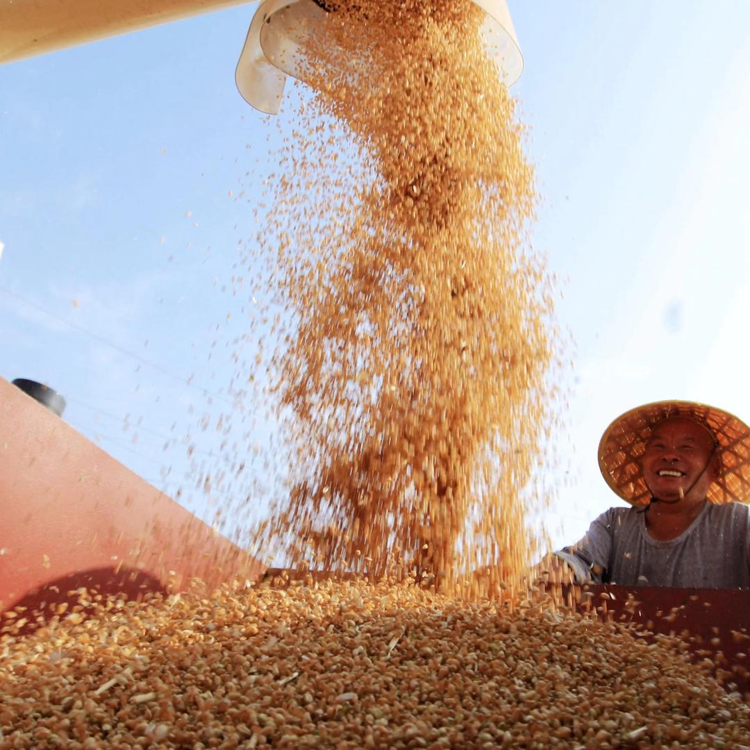 李老师讲农技（商品在橱窗）