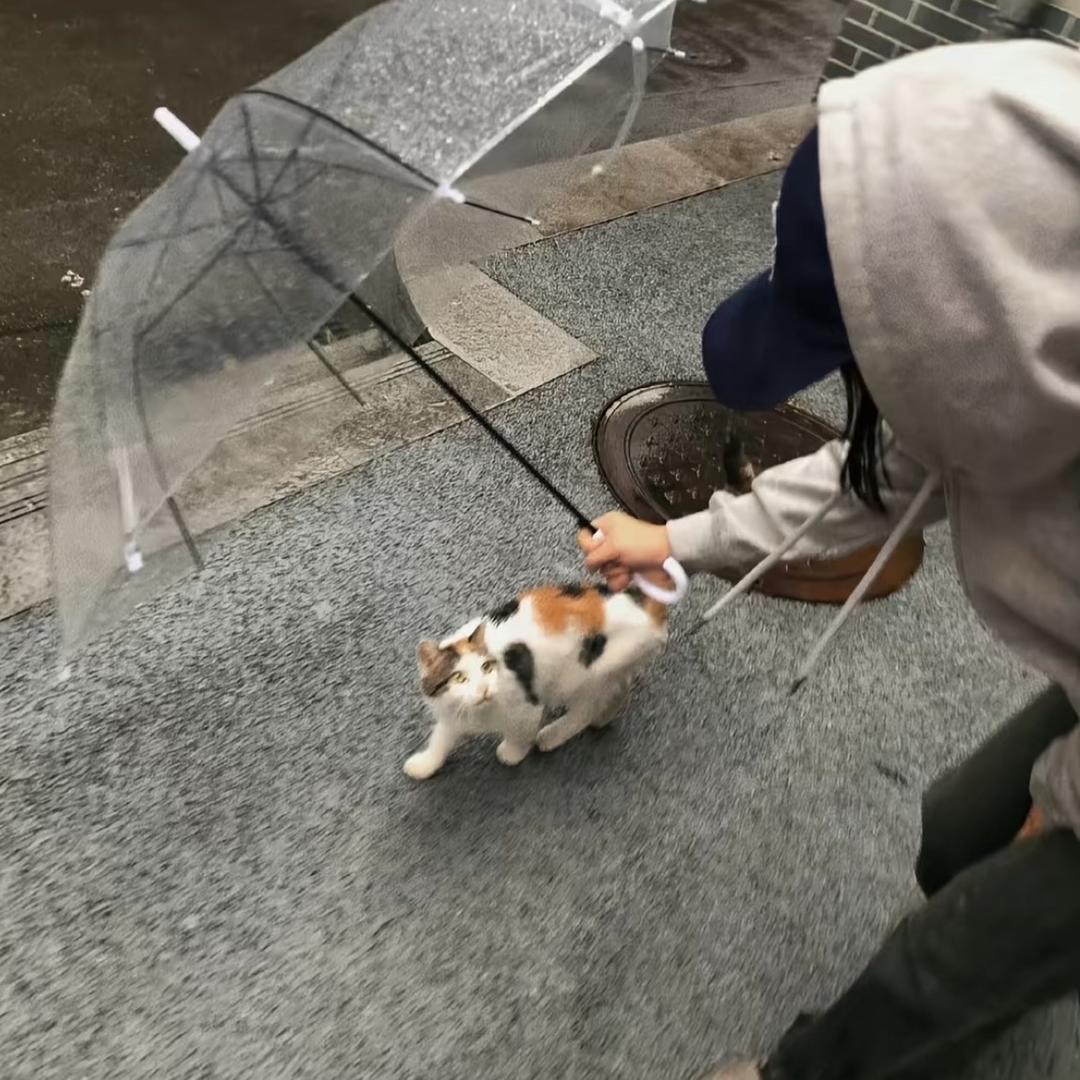 不是很有趣的宝宝