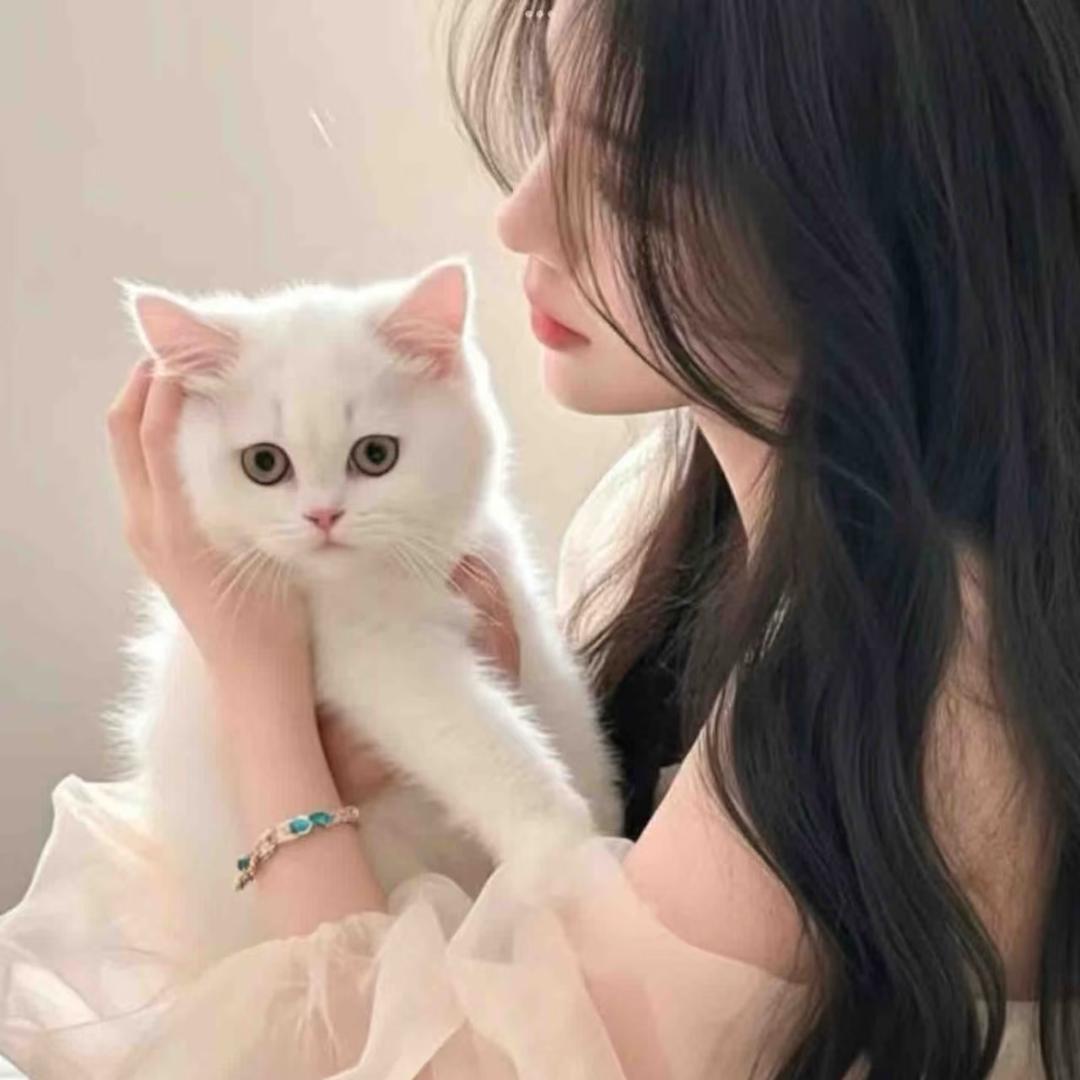 艾米🧡ྀི