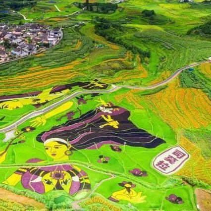 佤寨人家(私房菜)