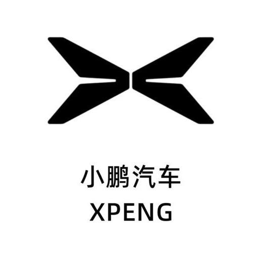 重生我在广安卖小鹏