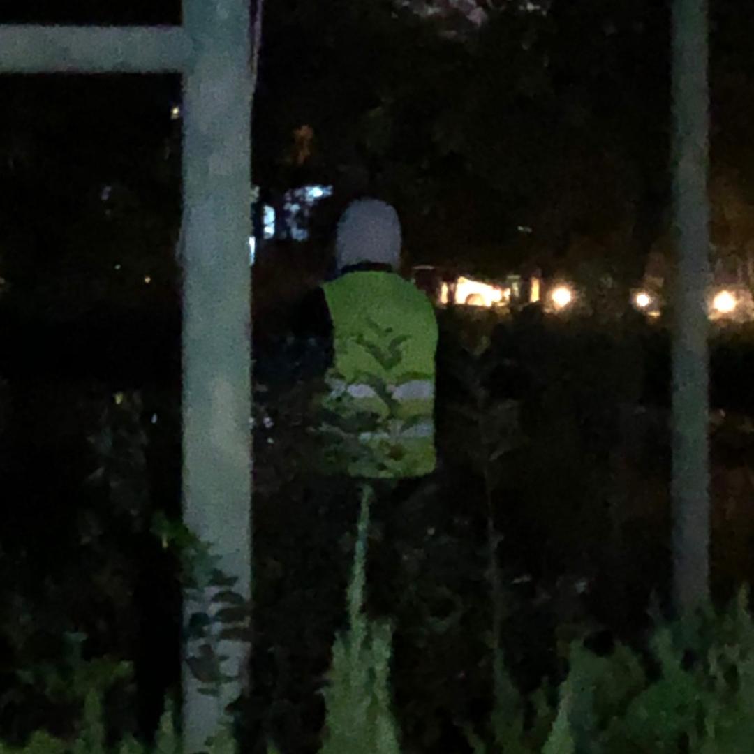 顺风顺水顺财神🍀