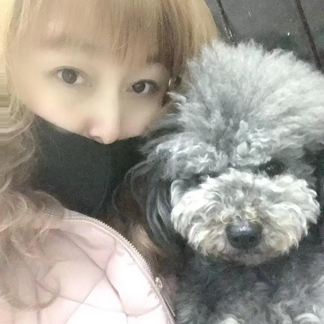 燕子呦
