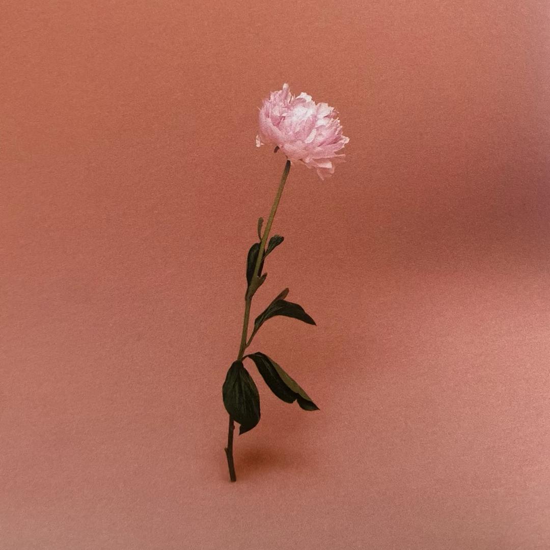 𝗧𝗮𝗸𝗲𝗿𝘂