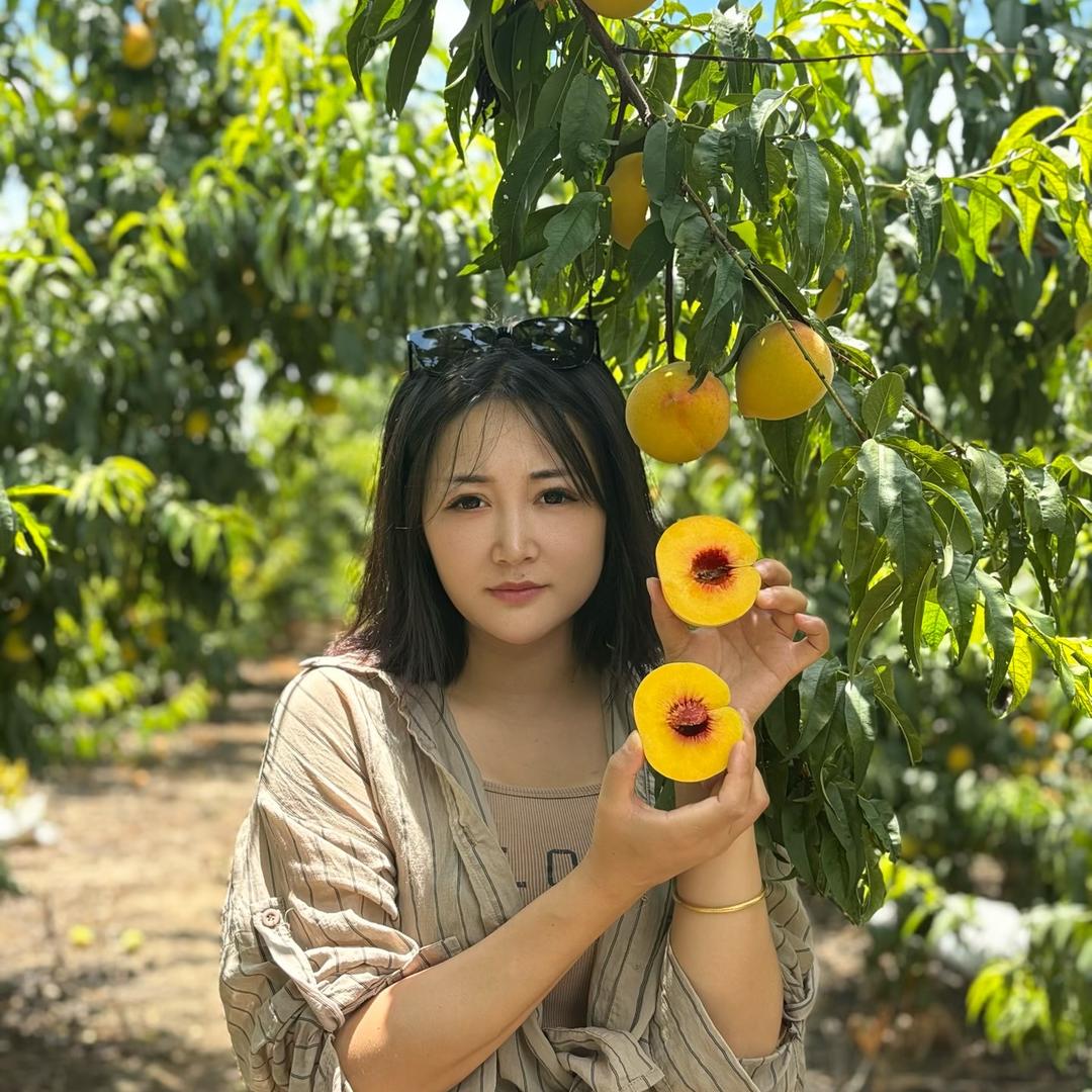 觅橙秭归脐橙供应链（锦绣黄桃）