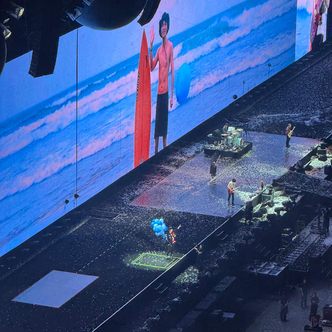 拒绝精神内耗🥕