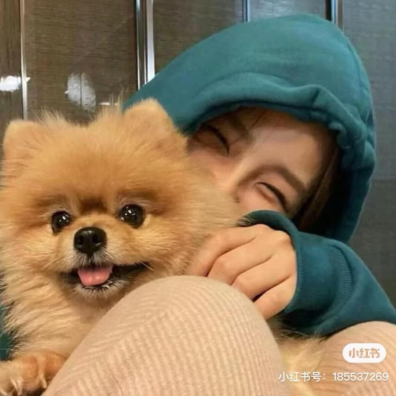 开心哇|･ω･｀)