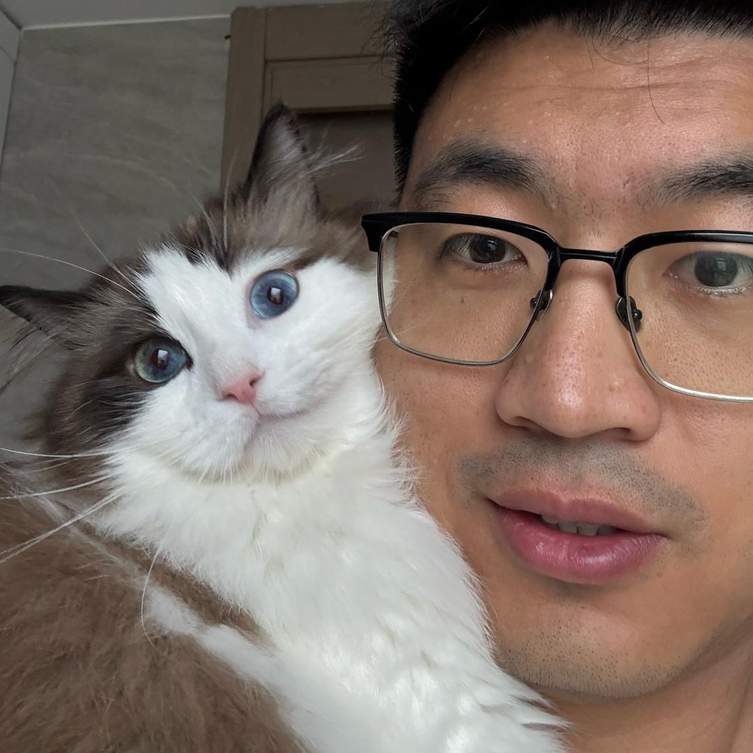戏很多的金兑