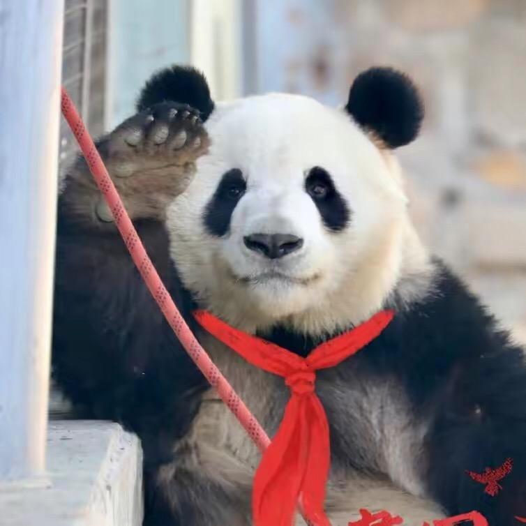 杨氏家居🏠