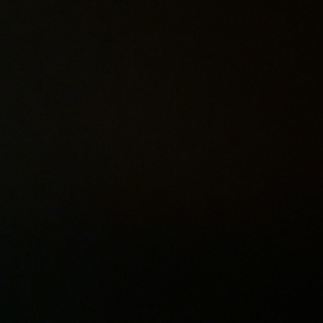 绝望的火鸡面毒妇