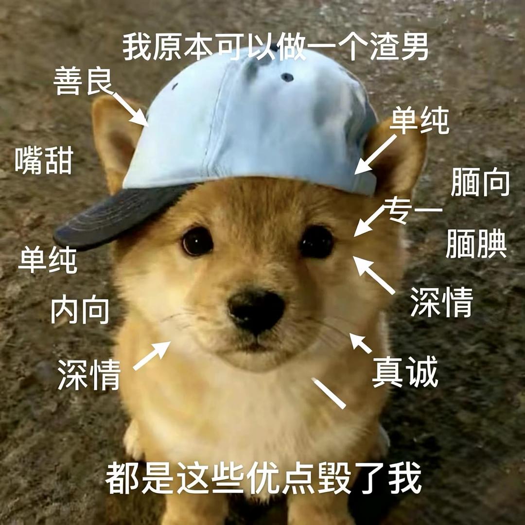 拿只猫给我