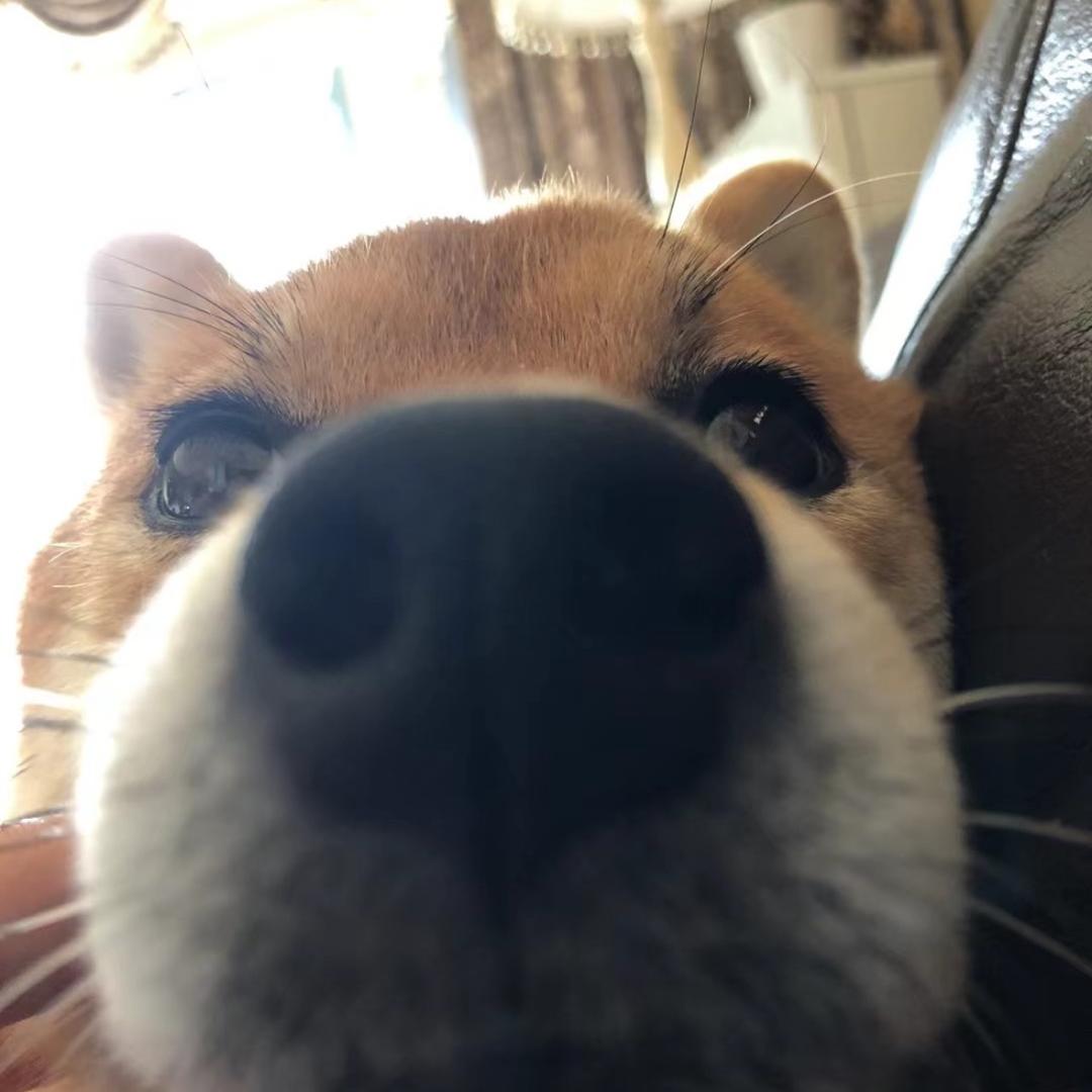 wjy