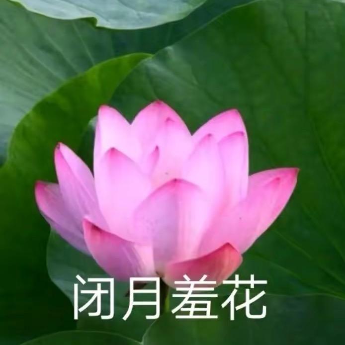 牛牛收割侠