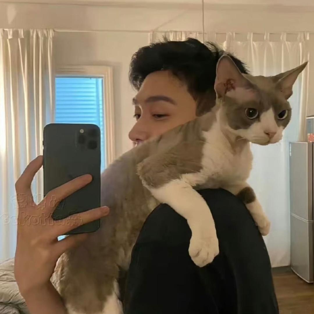 ins忘忧