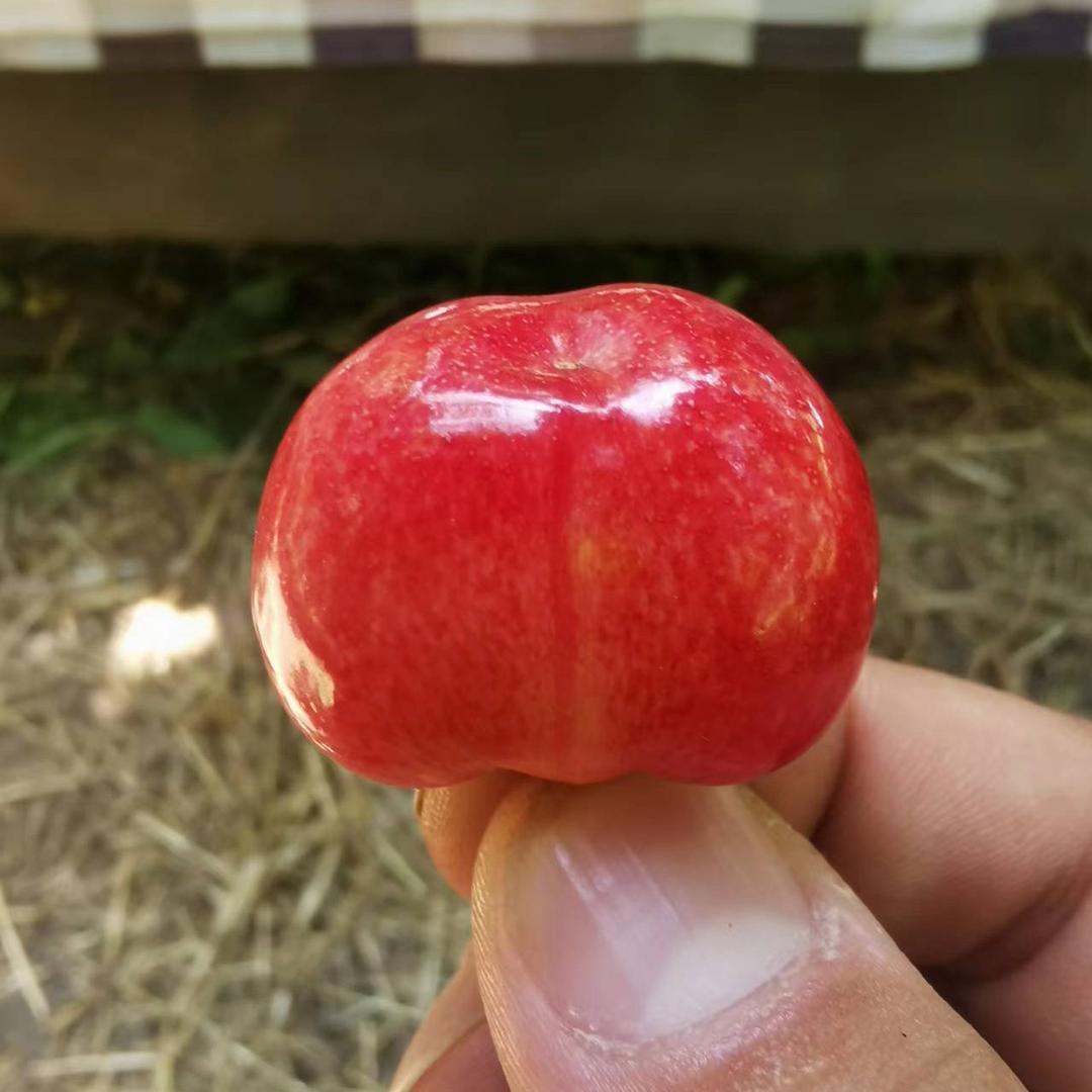 ～双昊农产品优选