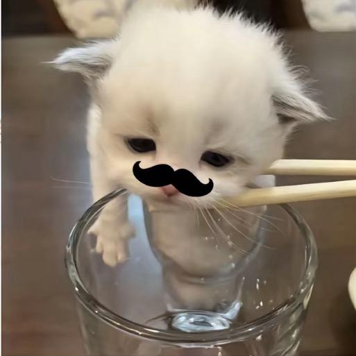 消淮