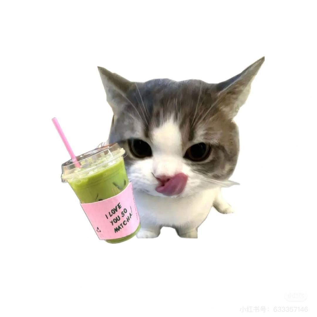 赵zzzz