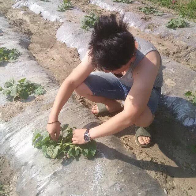 小村大东