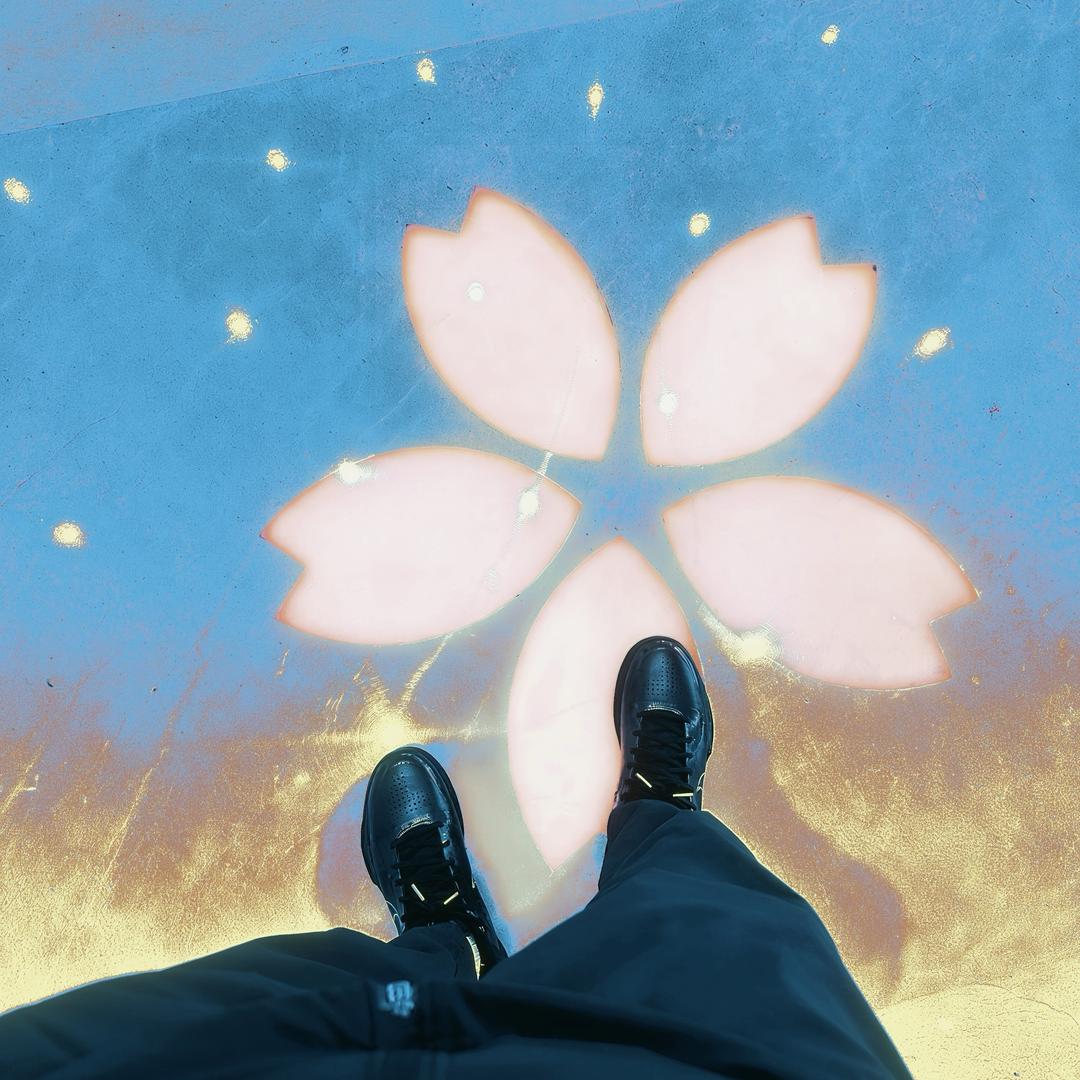 不愧是帅球（靖江篮球）