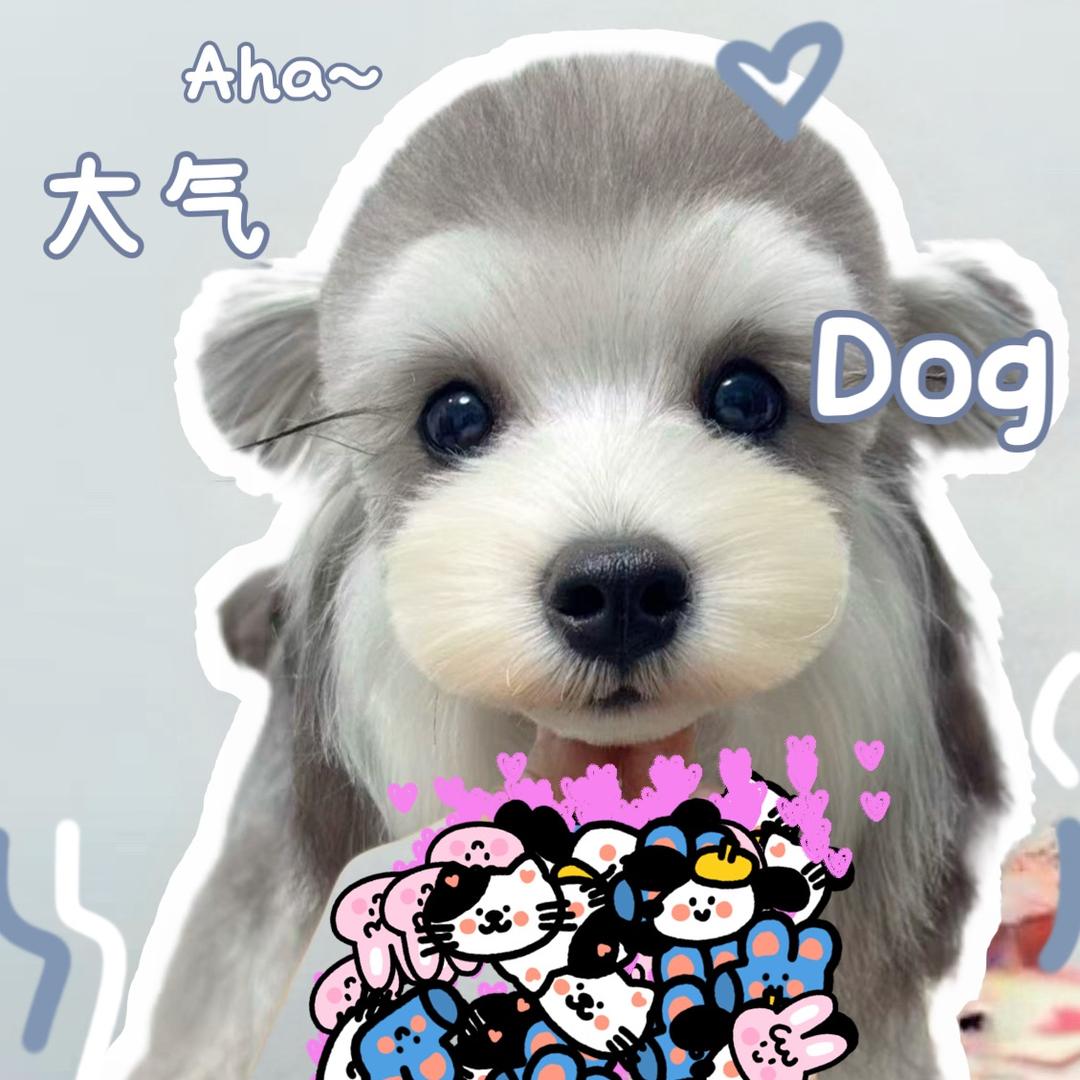 小月半