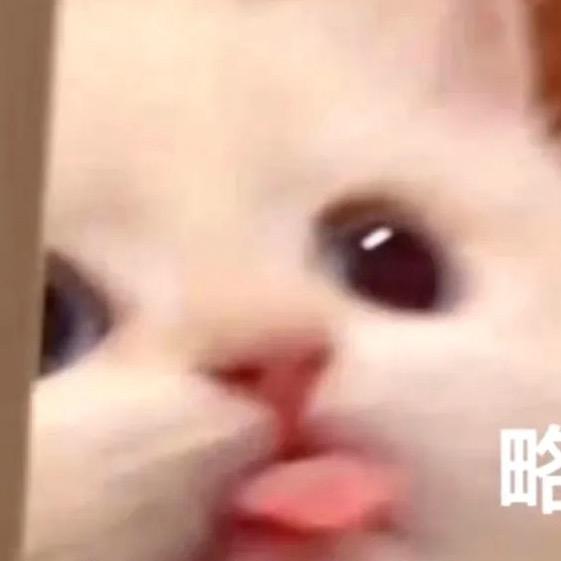 自闭小夏