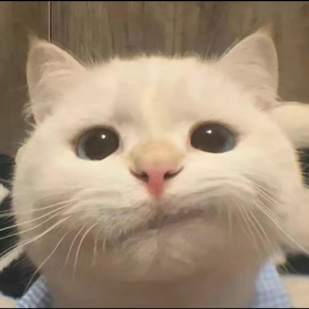我说白了我白说了