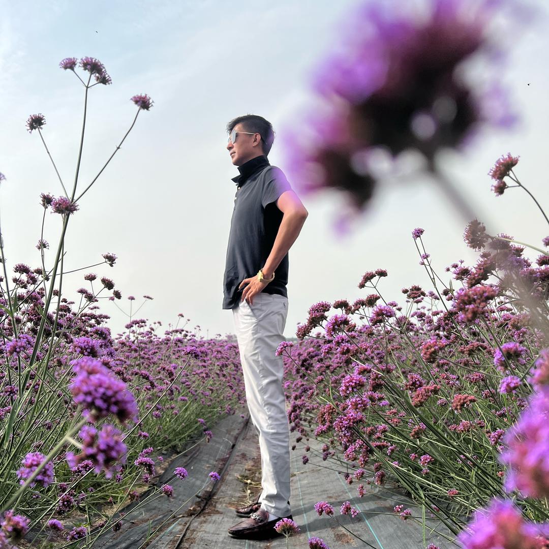 清真，嘿临鸡一顿，飞哥