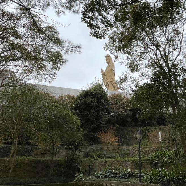 达野
