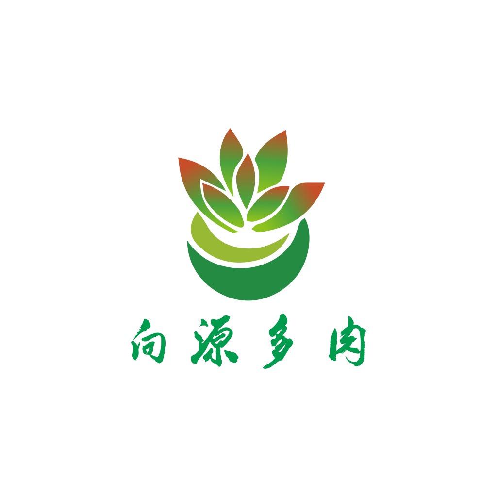 向源多肉养护