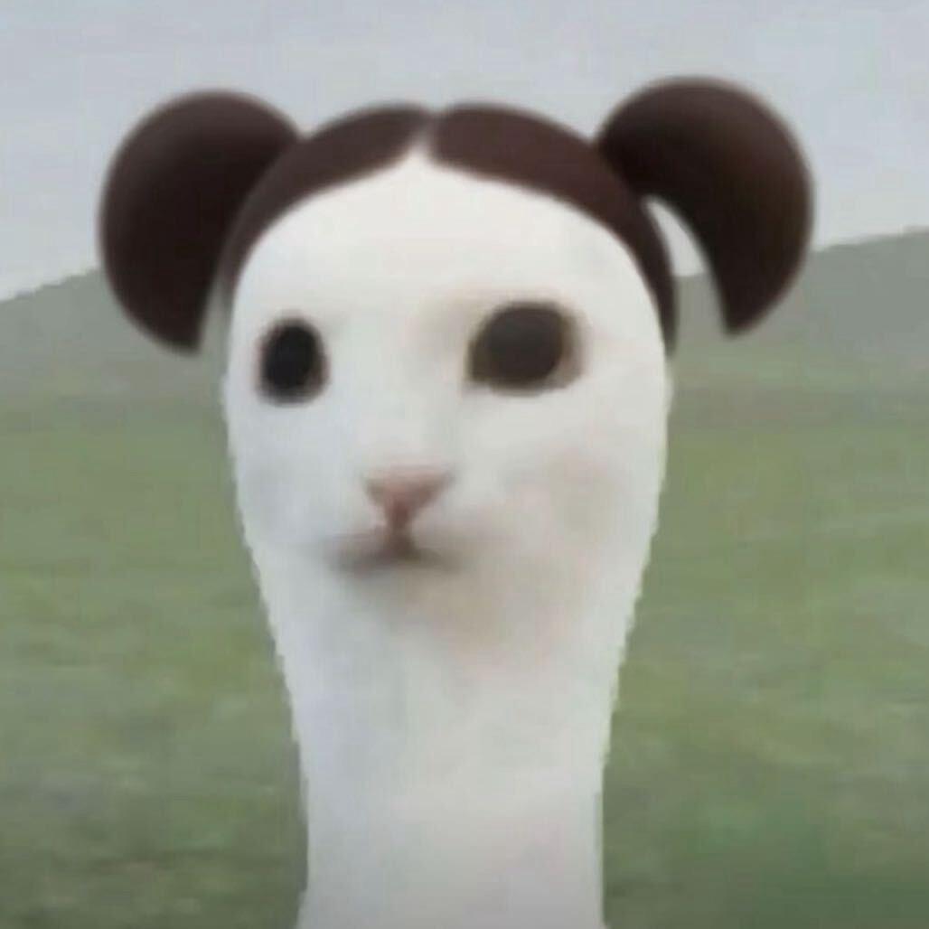 蟑螂